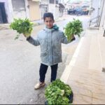 مناشدات لمعرفة مصير الطفل حمزة إبراهيم الصارم بعد اختفائه في ريف حماة الغربي