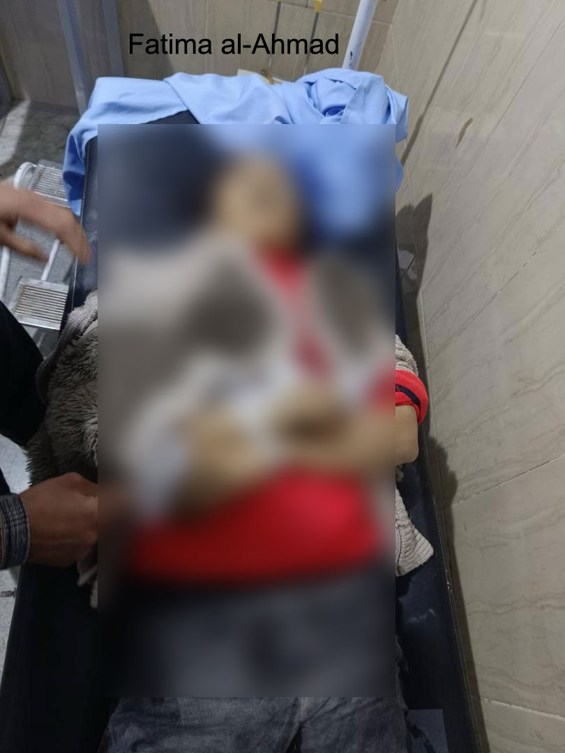 Killing of two civilians and injury of a child as a result of artillery and missile shelling on the city of Deir Hafir in the Aleppo countryside