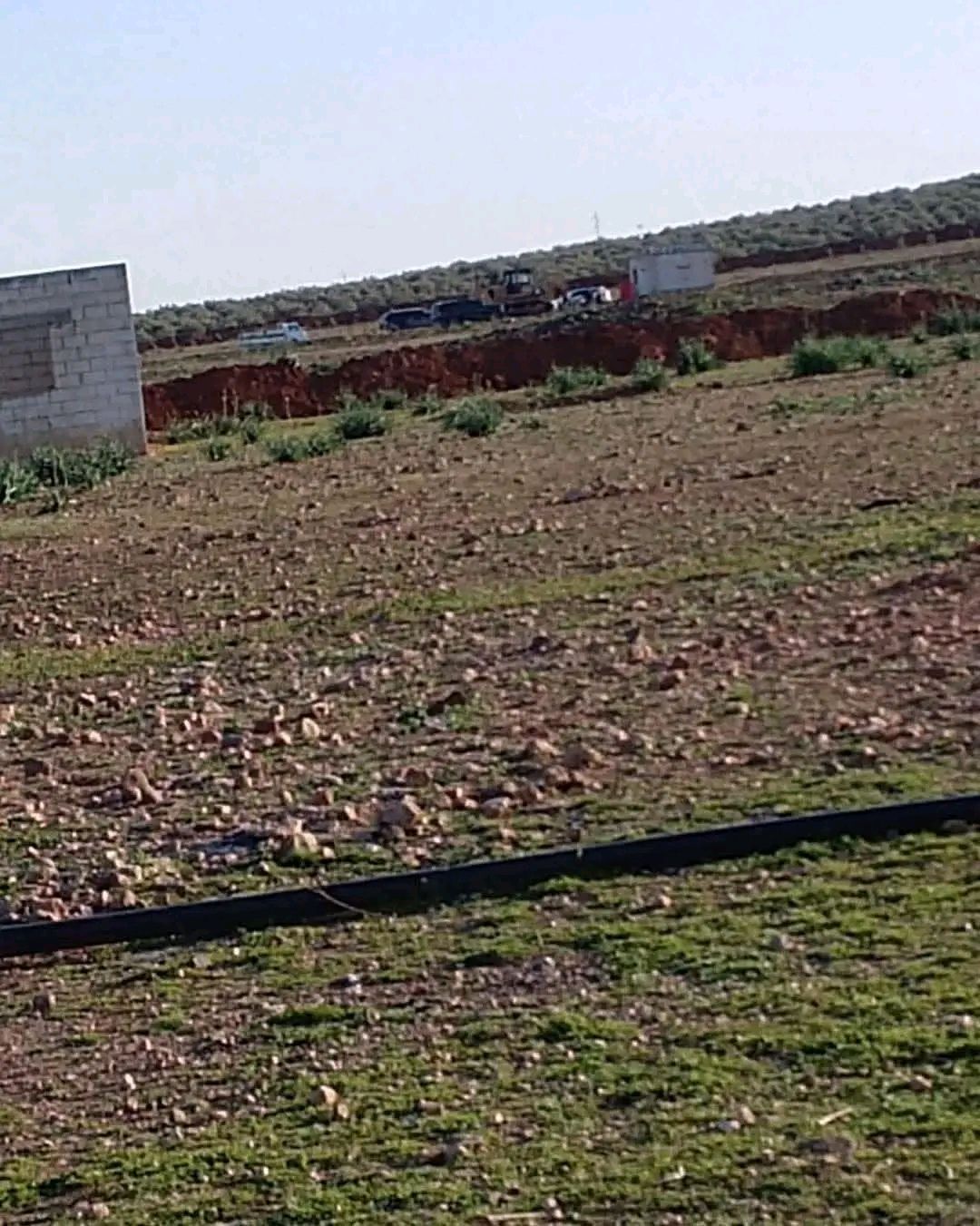 The brother of “Abu Amsha” seizes agricultural lands in the village of Abu al-Qudour in eastern Hama countryside